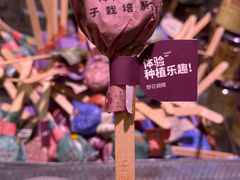-KKV(上海月星环球港店)