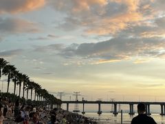 -宝安西湾红树林湿地公园