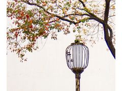 -老门东历史文化街区