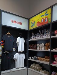 -飞览天下沉浸式飞行体验(北京旗舰店)