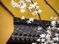 -龙华寺