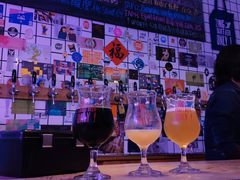 -ZING鲸鱼啤酒(葡萄院店)