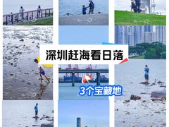 -深圳湾公园(南山区)
