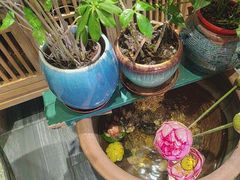 -观盐·盐帮菜(官园桥店)