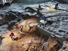 -自贡恐龙博物馆