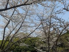 -范蠡湖公园
