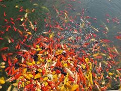 -东台西溪天仙缘景区