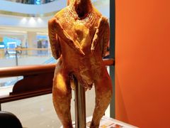 来自星星的跳舞鸡-新发现(苏州中心商场店)