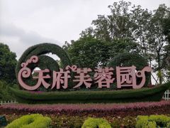 -天府芙蓉园