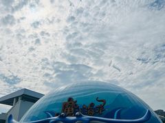 -海合安青岛极地海洋公园