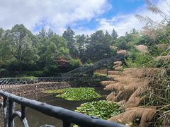 -天台山琼台仙谷景区