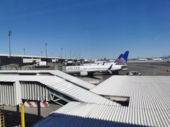 -纽瓦克自由国际机场