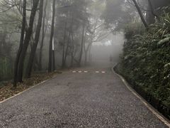 -广州市帽峰山景区