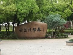 -顺峰山公园