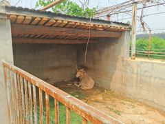 -河北村民俗体验园