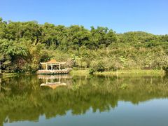 -大屏嶂森林公园
