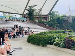 -新加坡飞禽公园
