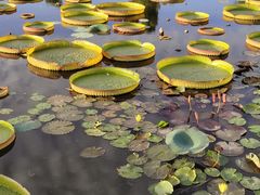 -南通洲际绿博园