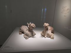 -阿福板凳面(观音桥店)