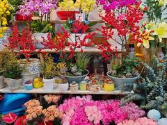 -平吉花卉市场