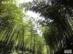 -天目湖山水园