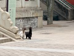 -大钟寺古钟博物馆