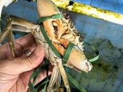 -恒盛海鲜餐厅