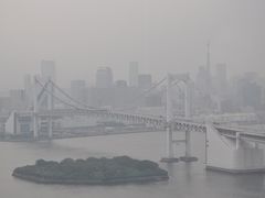 -台场海滨公园船码头