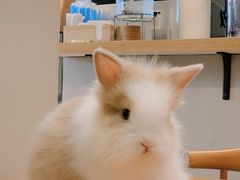 -小意思咖啡店(草桥店)