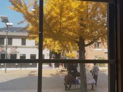 -天正河鲀·河豚亭(大连店)