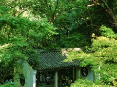 -虎跑公园