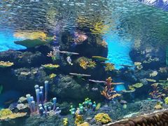 -华夏文旅海洋公园