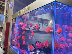 -朱光玉火锅馆(正弘城店)