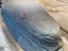 -白鹤梁水下博物馆