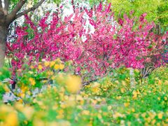 -永定河休闲森林公园