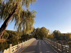 -溱湖国家湿地公园