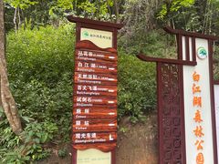 -广州白江湖森林公园