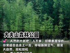 -番禺大夫山森林公园