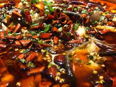 水煮鱼-庆合府重庆大排档(紫都城店)