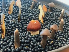 -神洲四海大酒楼(王府井澳门中心店)