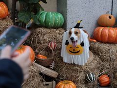 -Money Shops(愚园路店)