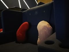 -幸福蓝海国际影城(苏州凤凰店)