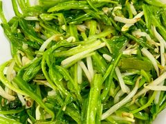 青龙银针-新峰肉骨茶