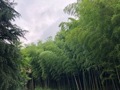 -苏州环秀晓筑养生度假村