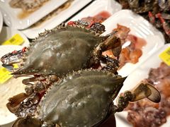 -渔娘渔家丹东海鲜(东直门店)