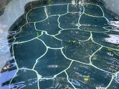 -和顺柏联温泉