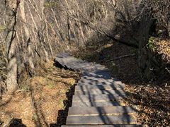 -白草畔自然风景区