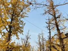 -百林公园-两江幸福广场