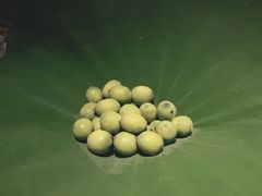-桂语山房(满觉陇店)