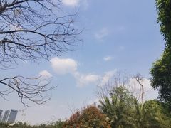 -府河摄影公园